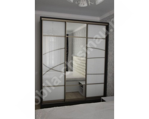 Шкаф купе 3 двери  T-45