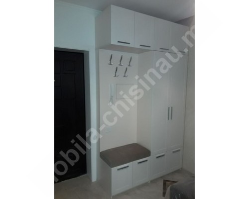 Шкаф в прихожую T-6 Шкаф в прихожую T-6