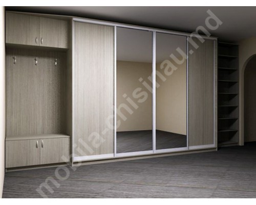 Dulap cupe in hol T-59