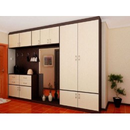 Dulap pentru antreu modelT-61