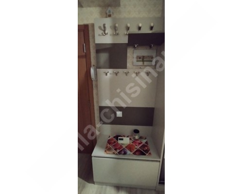 Dulap cupe in hol T-29