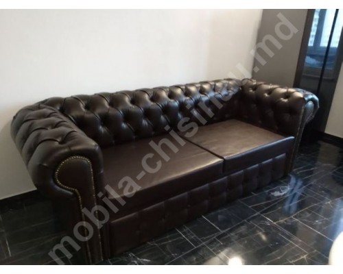 Canapea extensibila T-1