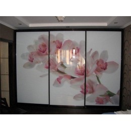 Dulap cupe  3 usi cu imprimarea fotografică  T-62