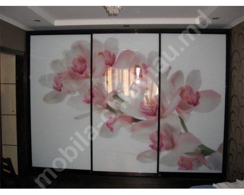 Dulap cupe 3 usi cu imprimarea fotografică T-62