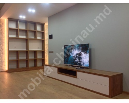 Tumba TV model T-21