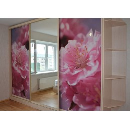 Dulap cupe cu foto imprimare T-71