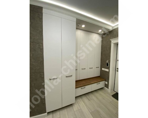 Mobilier pentru hol in stil modern T-14