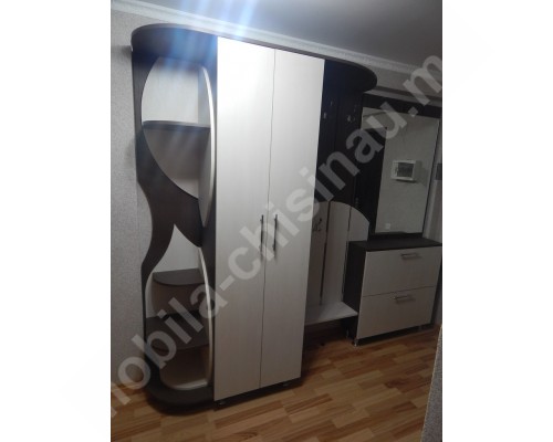 Hol T-51