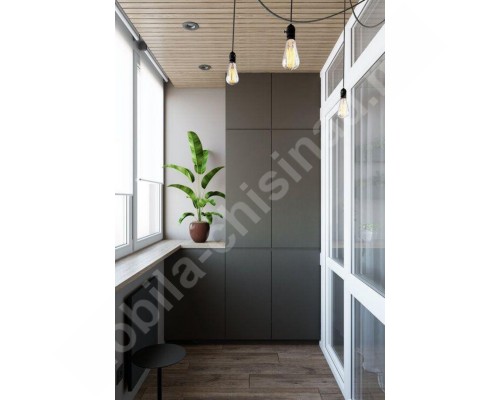 Dulap la balcon T-30