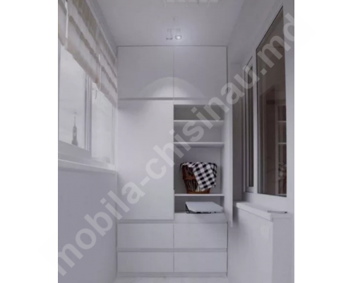 Dulap la balcon T-33
