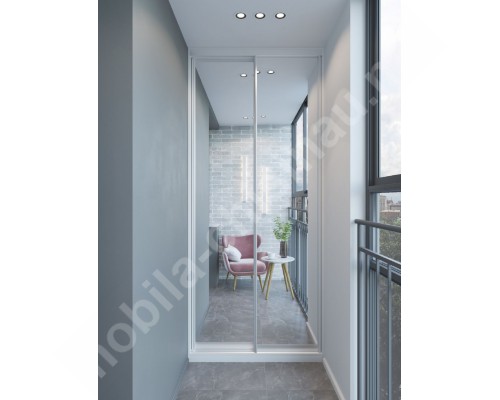 Dulap la balcon T-39