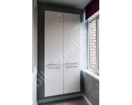 Dulap la balcon T-49