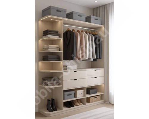 Гардеробная в современном стиле  T-54