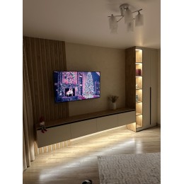 Mobila pentru living modern T-88