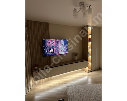 Mobila pentru living modern 