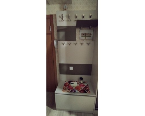 Dulap cupe in hol T-29