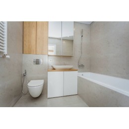 Мебель  в ванной  Т-42