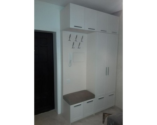 Шкаф в прихожую T-6