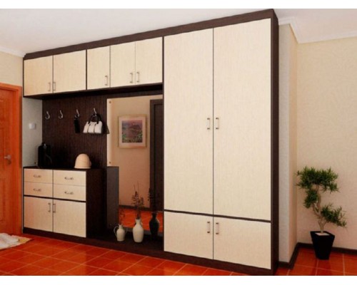 Прихожая T-61