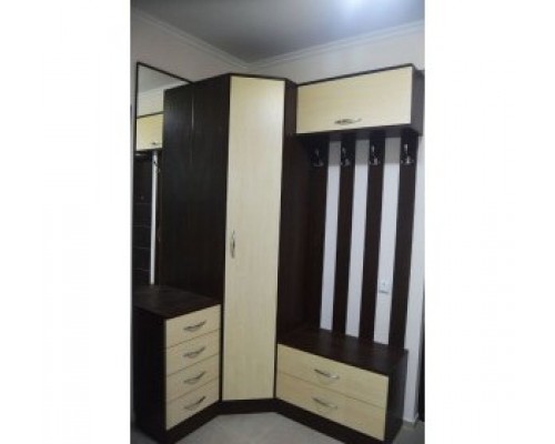 Угловой шкаф купе в прихожую T-30