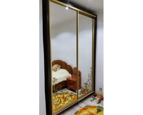 Шкаф купе  двумя двери T-67