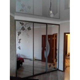 Шкаф купе 3 двери T-57