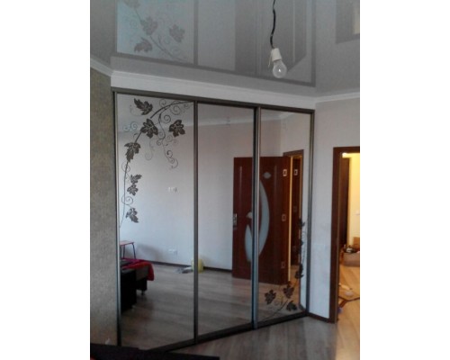 Шкаф купе 3 двери T-57