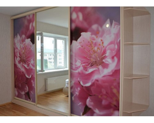 Dulap cupe cu foto imprimare T-71