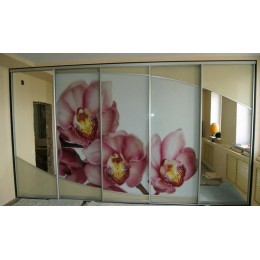 Шкаф купе с фотопечатью T-35