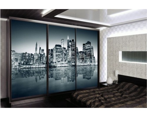 Шкаф купе  с фотопечатью  T-46