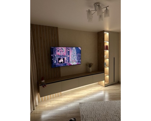 Mobila pentru living modern 